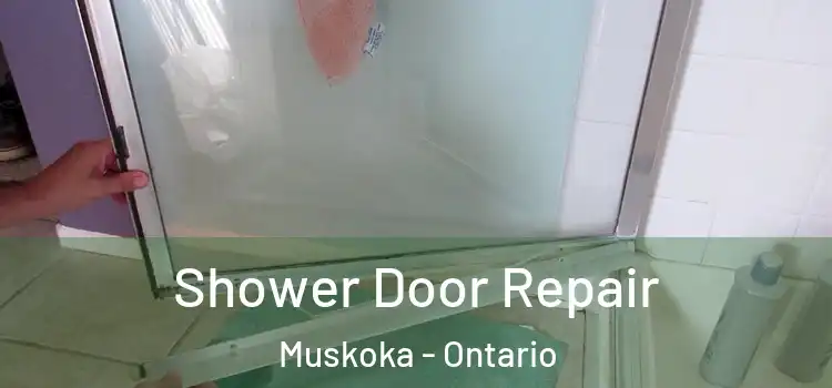 Shower Door Repair Muskoka - Ontario