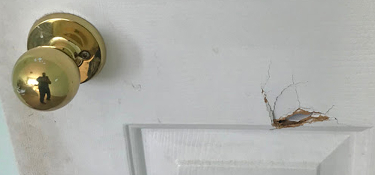 interior door hole repair Muskoka